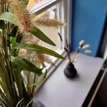 Calm 10 On Pedestrian Street